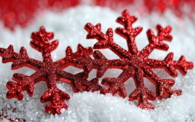 De l’animation à la Maison Pour Tous pour la fin de l’année !